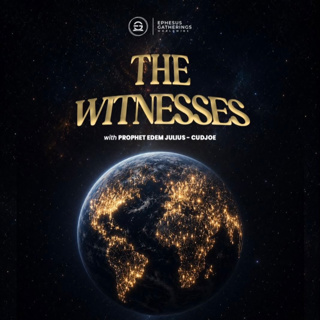 The Witnesses