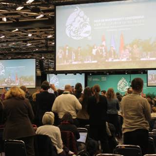 Så blev räddningsplanen för världens arter på COP15