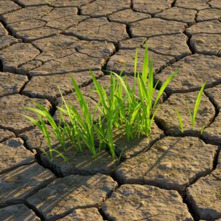 S8 Ep55: Overcoming climate agenda fatigue