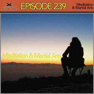 Episode 239 - Meditation & Martial Arts