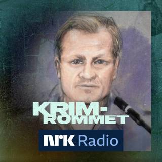 Kan Kongen benåde Høiby?