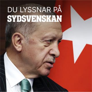 Därför verkar ingen kunna hota Erdogan – trots missnöjet