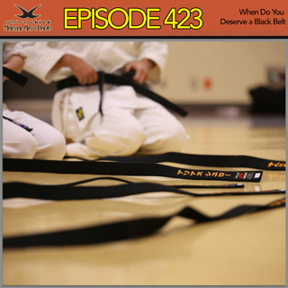 Episode 423 - When Do You Deserve A Black Belt