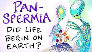 PANSPERMIA - Did Life Begin on Earth? Are Mushrooms USING US to Get to Space? | After Skool