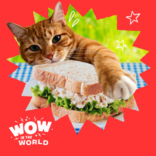 It's Tuna Time! Discover the Science of Why Cats Love Savory Foods