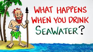 What Happens When You Drink SeaWater? | After Skool