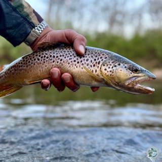S7, Ep 36: Central PA Fishing Report with George Costa of TCO Fly Shop