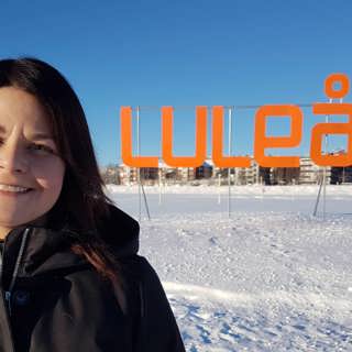 En konstnär som målar liv - Ida Marcusson