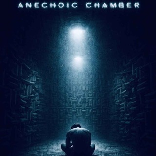 Inside The Anechoic Chamber