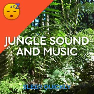 😴🍂🎵 JUNGLE Sound and MUSIC to Fall ASLEEP