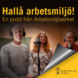 Hallå arbetsmiljö! #12 Hot och våld