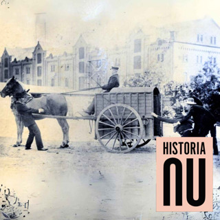 Polisens historia - från lokalt till statligt våldskapital
