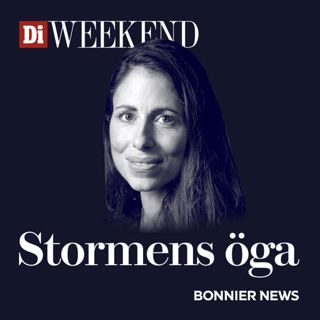 Succéinvesterarens olycka – ”En millimeter från att dö” – Susanne Najafi