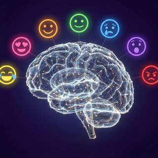 What is emotional intelligence really? What it is and what it isn't