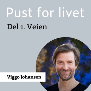 Viggo Johansen. Del 1. Veien