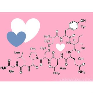 Bonusepisode fra Dr. Dating: 1. Online Dating