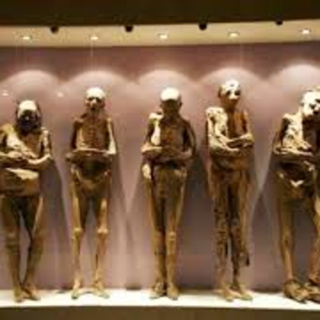 MUMMIES - Mummies of Guanajuato