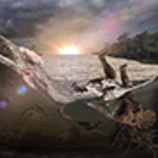 Aftermath of Chicxulub asteroid