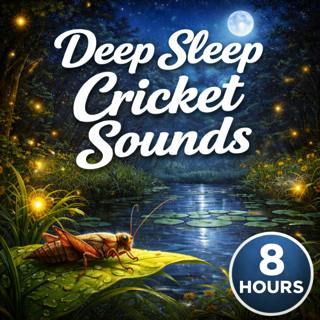 Deep Sleep Cricket Sounds: Calming Night Ambience for Sleep, Relaxation, Meditation, and Stress Relief
