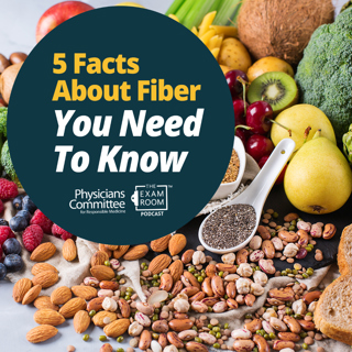5 Facts About Fiber You Need To Know