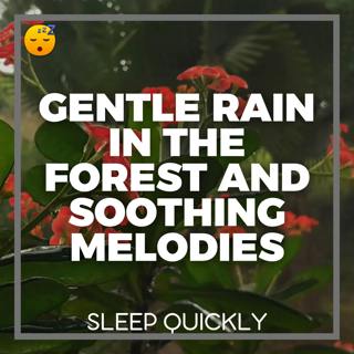 😴🌧️🎵 Gentle RAIN in the Forest and Soothing MELODIES for Restorative SLEEP