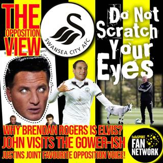 THE OPPOSITION VIEW - Swansea City (Home)