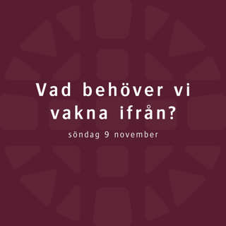 Vad behöver vi vakna ifrån? – Lovisa Almén
