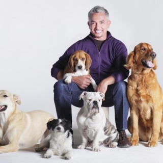 Avsnitt 1 Cesar Milan