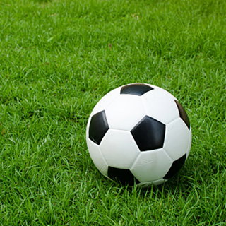 In The Back Of The Net