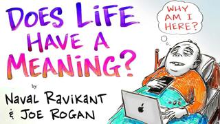 Does Life Have a Meaning? - Naval Ravikant & Joe Rogan | After Skool