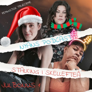 Julbonus 1: Stalking i Skellefteå