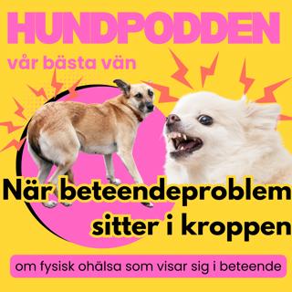 När beteendeproblem sitter i kroppen - med Malin Kihl Sandberg