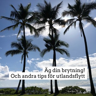 Tips för utlandsflytt