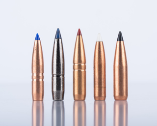 5 Top Elk & Deer Bullets