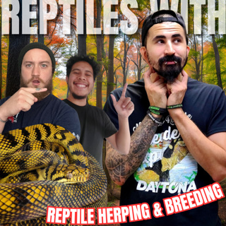 ROBISCREEPINGITREAL on Herping, Reptile Shows & Breeding | Reptiles With Podcast