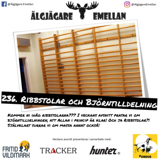 236. Ribbstolar & Björntilldelning