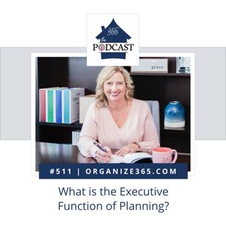 511 - What is the Executive Function of Planning