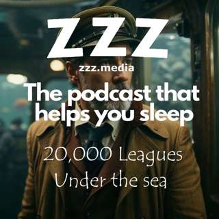 Twenty Thousand Leagues under the Sea by Jules Verne Part 2 Chapter 4, Read by Jason