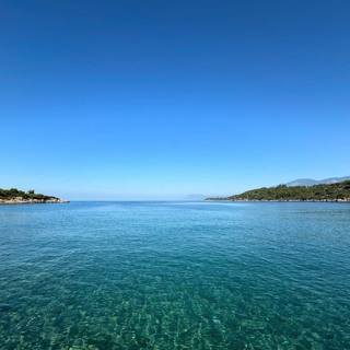 fuchs live at bonjuk bay 27042024