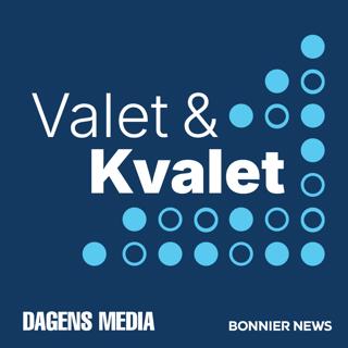 Hur trollat är valet? Dragkamp om narrativen när Sverige går mot riksdagsval
