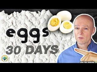 What If You Ate 5 EGGS A Day For 30 Days? 