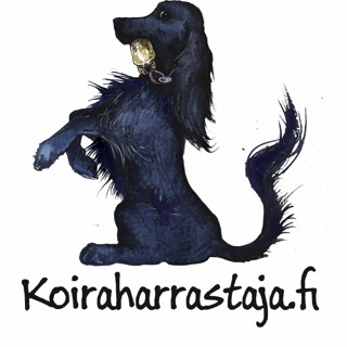 Haastattelussa Heini Lehto - Kyyhkyset koiran koulutuksen apuna