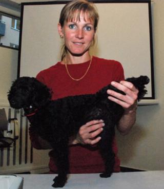 Valpen och den äldre hunden - Veterinärens tips