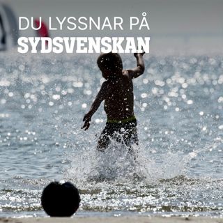 Skiter Danmark i Öresund?