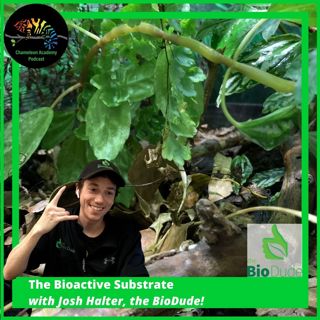 Bioactive Substrate for Chameleons with Josh Halter