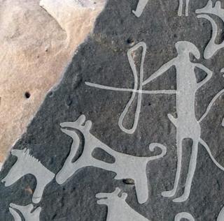 How Did Dogs Land in Our Laps?