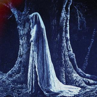 The White Lady Tree