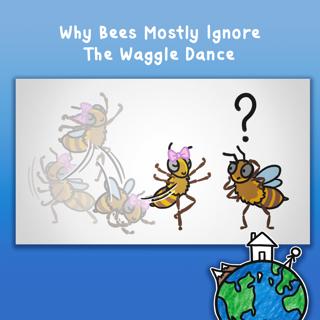 Why Bees Mostly Ignore The Waggle Dance