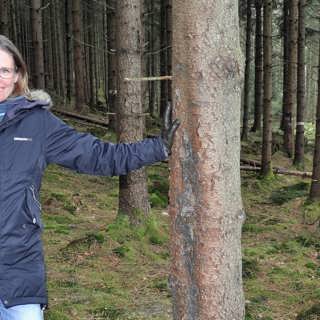 Granarna – på väg att ta över i södra Sverige