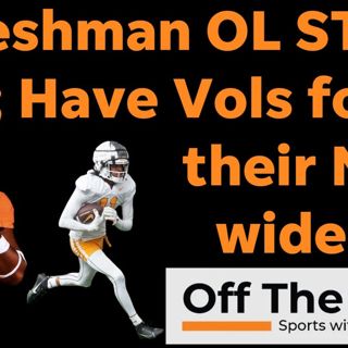 William Satterwhite, Chris Brazzell II: SURPRISE Vols of Tennessee Football fall camp